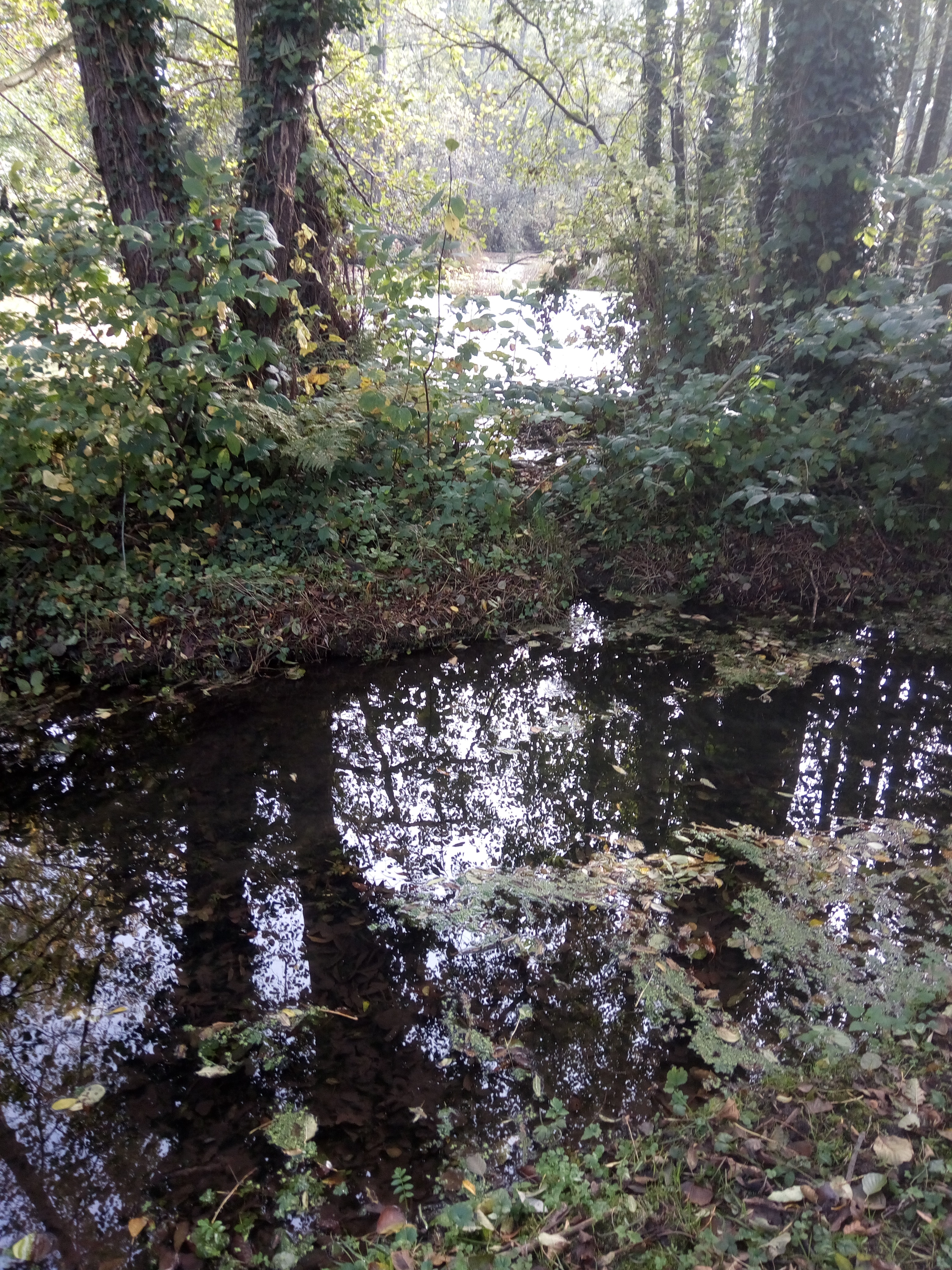 IMG 20221019 151944 1CS