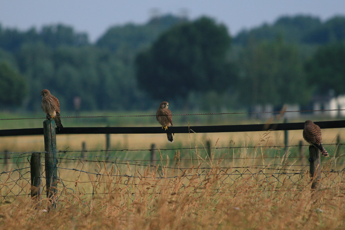 met z'n drietjes uitrusten