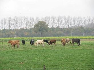 Wordt dit allemaal volgebouwd?